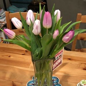 Meet your Posher, Mary